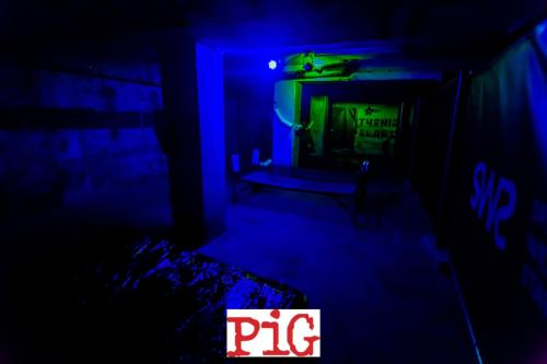 08.09.2018 PIG-57