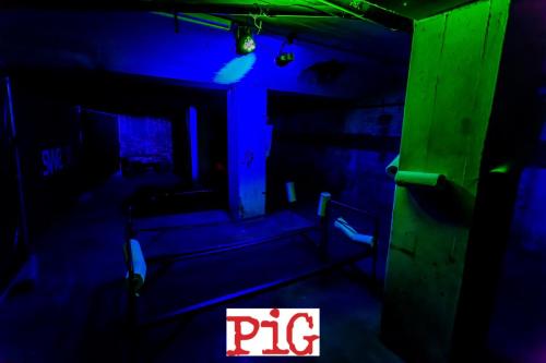 08.09.2018 PIG-58