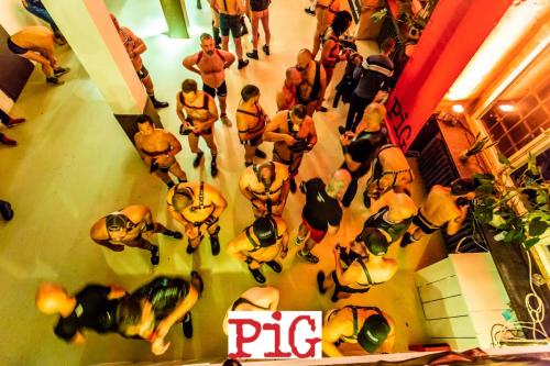 08.09.2018 PIG-65